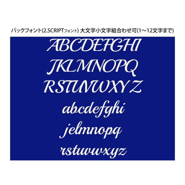 1点から注文可!フロント刺繍 1~3文字 +バック刺繍 オリジナルイニシャル DAD HAT