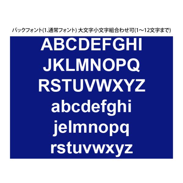 1点から注文可!フロント刺繍 1~3文字 +バック刺繍 オリジナルイニシャル DAD HAT