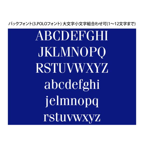 1点から注文可!フロント刺繍 4~12文字 オリジナルネーム DAD HAT