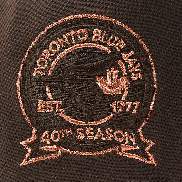 ニューエラ キャップ 9FORTY トロント ブルージェイズ MLB 40TH SEASON GREEN BOTTOM A-FRAME SNAPBACK CAP BROWN