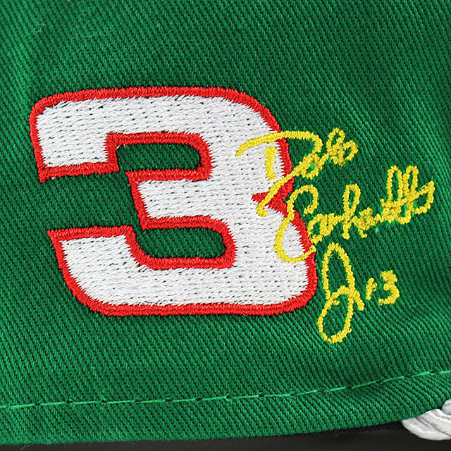 ニューエラ キャップ GOLFER ナスカー デイル アーンハート ジュニア DALE EARNHARDT Jr. SUN DROP SNAPBACK CAP GREEN