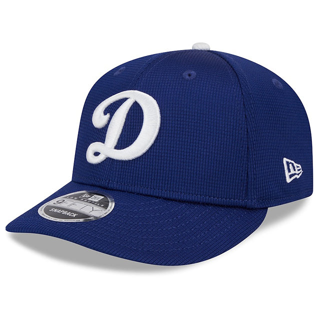 ニューエラ キャップ 海外取寄  9FIFTY ロサンゼルス ドジャース 2024 MLB BATTING PRACTICE BP SNAPBACK CAP ROYAL BLUE