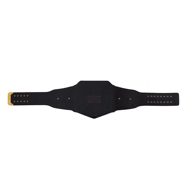 海外取寄 統一WWEユニバーサル王座 レプリカチャンピオンベルト