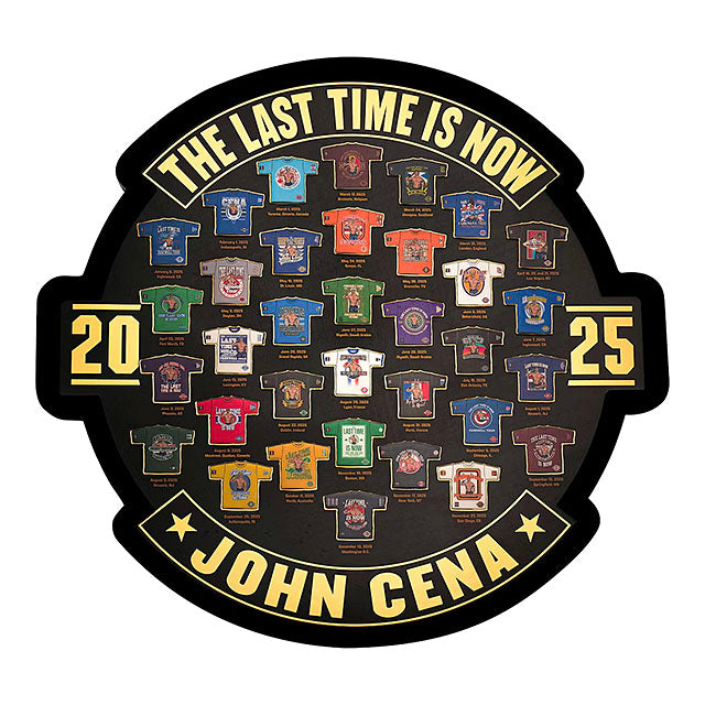 ジョン シナモデル 海外取寄 WWE ピンバッジ THE LAST TIME IS NOW FRAMED PIN BADGE SET