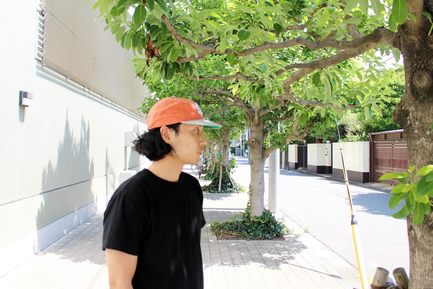 AMERICAN NEEDLE LINE OUT STRAPBACK