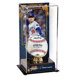 山本由伸モデル 2025 ワールドシリーズチャンピオン 海外取寄 ボールディスプレー ロサンゼルス ドジャース