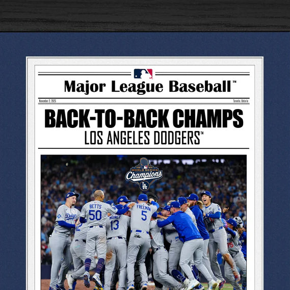 2025 ワールドシリーズチャンピオンモデル 海外取寄 額入りコラージュ