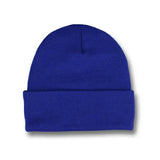 ニューエラ ニット ビーニーキャップ オークランド レイダース NFL TEAM-SCRIPT CUFFED KNIT BEANIE CAP ROYAL BLUE