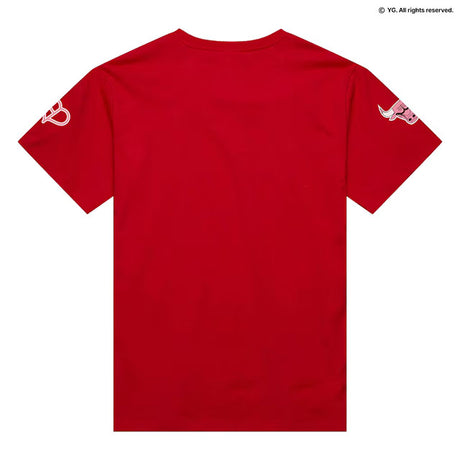 ミッチェル&ネス×ブラックピンク 海外取寄 シカゴ ブルズ T-SHIRT RED LIMITED EDITION