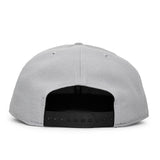 ニューエラ 9FIFTY カロライナ パンサーズ TEAM-BASIC SNAPBACK CAP GREY-BLK