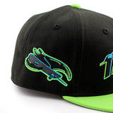 シティコネクト ニューエラ キャップ 59FIFTY タンパベイ レイズ MLB ALTERNATE CITY CONNECT FITTED CAP BLACK-LIME