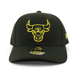 ニューエラ キャップ 9FORTY スナップバック シカゴ ブルズ NBA SNAPBACK CAP GREEN