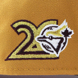 ニューエラ キャップ 9FORTY トロント ブルージェイズ MLB 20TH GREEN BOTTOM A-FRAME SNAPBACK CAP TAN
