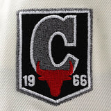 ニューエラ キャップ 9FORTY シカゴ ブルズ NBA 1966 INAUGURAL SEASON GREY BOTTOM A-FRAME SNAPBACK CAP CREAM