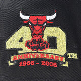 ニューエラ キャップ 9FORTY シカゴ ブルズ NBA 40TH GREY BOTTOM A-FRAME SNAPBACK CAP BLACK