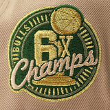 ニューエラ キャップ 9FORTY シカゴ ブルズ NBA 6X CHAMPIONS GREY BOTTOM A-FRAME SNAPBACK CAP CAMEL