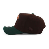 ニューエラ キャップ 9FORTY ティンバーラトラーズ MiLB 20TH ANNIVERSARY GREY BOTTOM A-FRAME SNAPBACK CAP BROWN