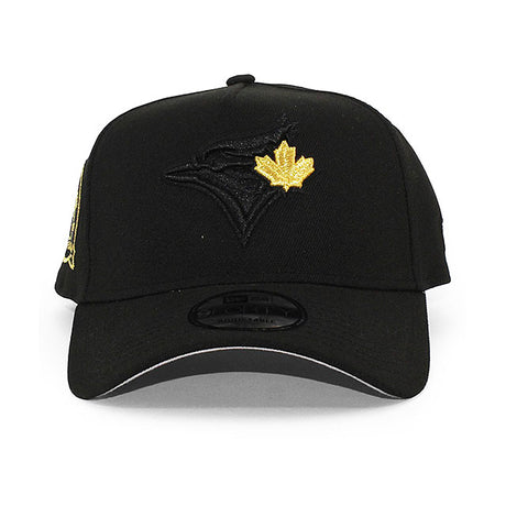 ニューエラ キャップ 9FORTY トロント ブルージェイズ MLB 40TH GREY BOTTOM A-FRAME SNAPBACK CAP BLACK