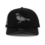 ニューエラ キャップ 9FORTY ボルチモア オリオールズ MLB 50TH GREY BOTTOM A-FRAME SNAPBACK CAP BLACK