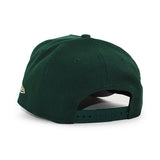 ニューエラ キャップ 9FORTY シカゴ カブス MLB BE ALERT FOR FOUL BALLS GREY BOTTOM A-FRAME SNAPBACK CAP GREEN