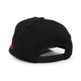 ニューエラ キャップ 9FORTY サンフランシスコ 49ERS NFL 60TH GREY BOTTOM A-FRAME SNAPBACK CAP BLACK