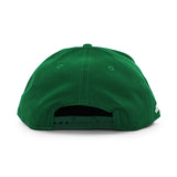 ニューエラ キャップ GOLFER ナスカー カイル ブッシュ ALSCO UNIFORMS SNAPBACK CAP GREEN