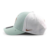 ナイキ キャップ サッカー フランス代表 RISE SNAPBACK CAP GREEN