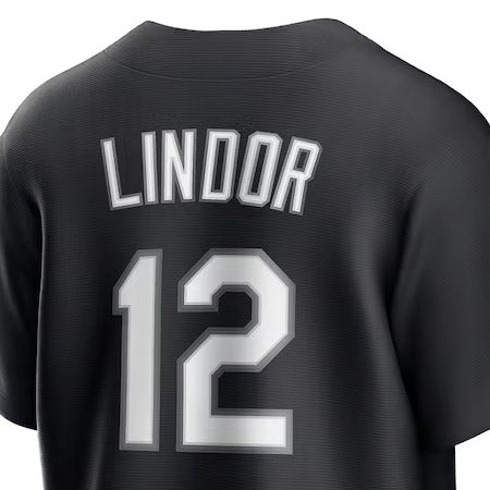 フランシスコ リンドーアモデル 海外取寄 NIKE レプリカユニフォーム ニューヨーク メッツ 2025 MLB LIGHTS OUT REPLICA PLAYER JERSEY BLACK