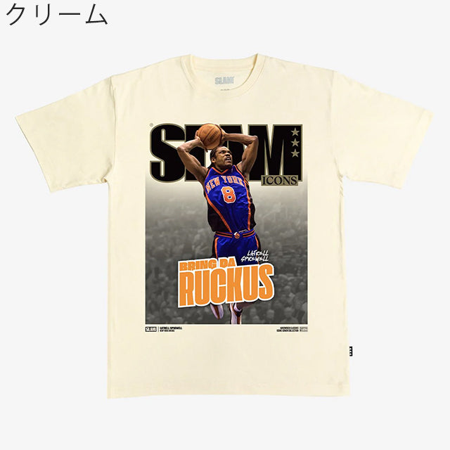 海外取寄 ナイキ Tシャツ ロサンゼルス レイカーズ 2026 NBA PLAYOFFS