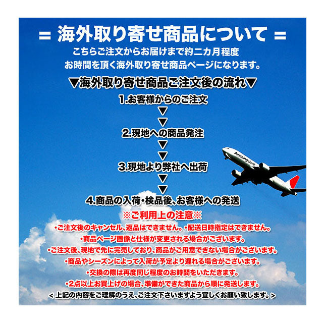 フレディ フリーマンモデル 海外取寄 ナイキ リミテッドレプリカ