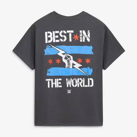 CMパンクモデル 海外取寄 GOODIE TWO SLEEVES Tシャツ BEST IN THE WORLD GRAPHIC T-SHIRT CHARCOAL