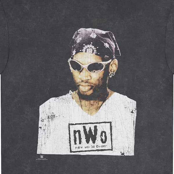 デニス ロッドマンモデル 海外取寄 ID サプライ WWE Tシャツ ICON SNOW WASH T-SHIRT HEATHER BLACK